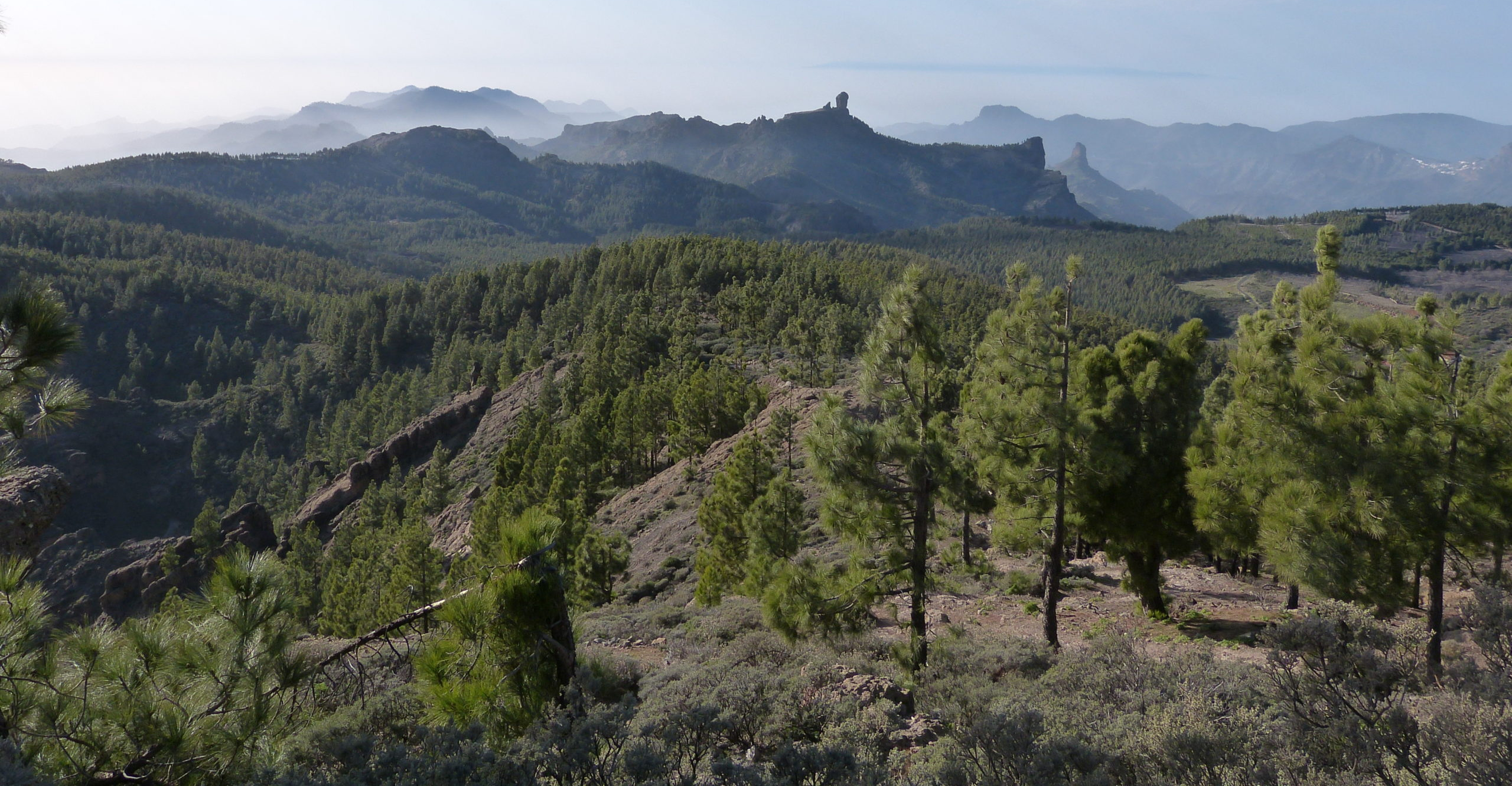 Gran Canaria entra en temporada de alto riesgo de incendio forestal