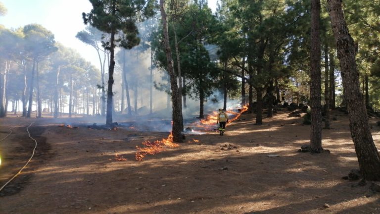 El Cabildo inicia la campaña de quemas prescritas en la Cumbre para prepararla ante los incendios forestales